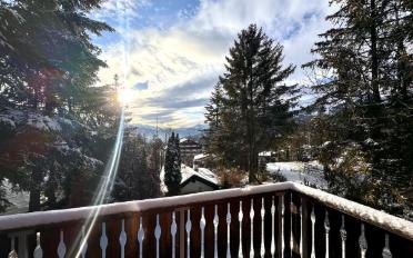 Chalet 7.5 Zimmer - image - 2
