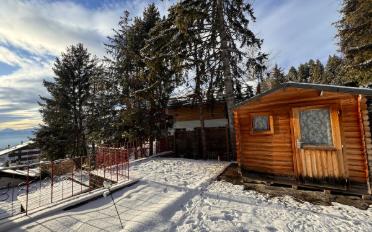 Chalet 7.5 rooms - image - 12
