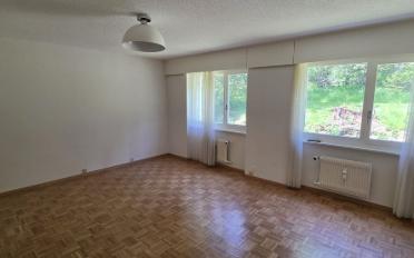Appartement 2.5 pièces - image - 2