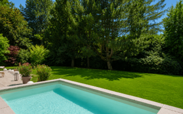 Villa 9 Zimmer - image - 4