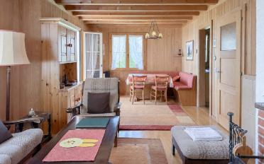 Chalet 4 Zimmer - image - 6