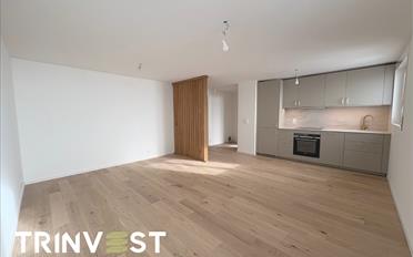 Apartment 2.5 rooms - image - 2