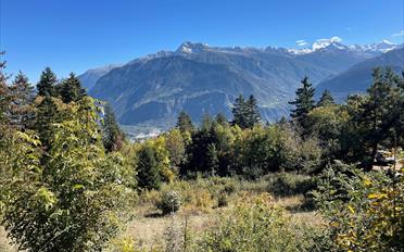 Terrain agricole - image - 1