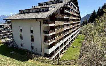 Wohnung 2.5 Zimmer - image - 1