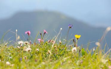 Bauland - image - 2