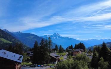 Chalet 5.5 pièces - image - 2