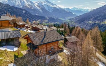 Chalet 6.5 pièces - image - 2