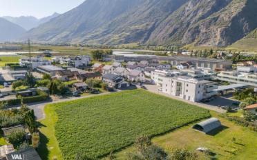 Attique 3.5 pièces - image - 9