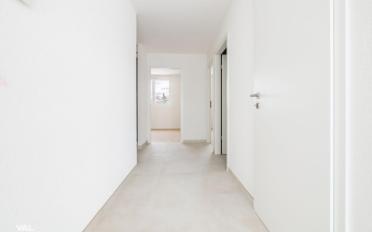 Wohnung 3.5 Zimmer - image - 4