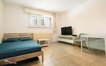 Apartment 1.5 rooms - image - 2