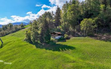 Chalet 3.5 rooms - image - 2