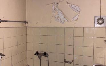 Wohnung ein Zimmer - image - 6