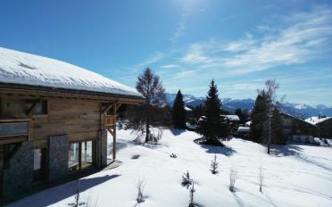 Chalet 7 rooms - image - 3