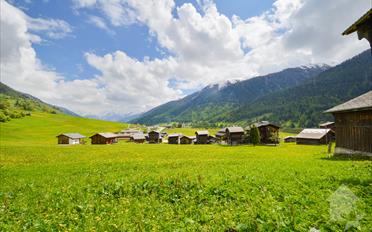Building land - image - 1