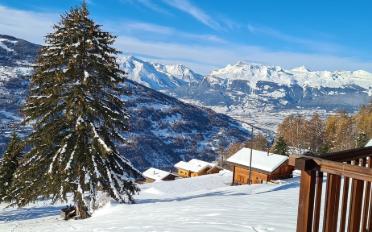 Chalet 3.5 pièces - image - 1