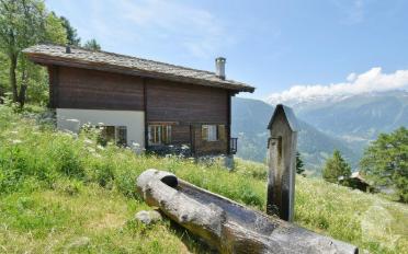 Chalet 3.5 pièces - image - 2