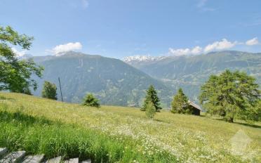Chalet 3.5 pièces - image - 10