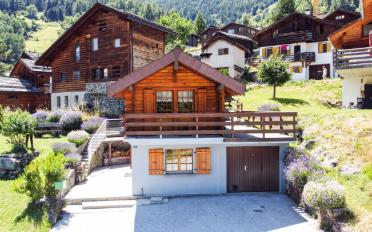Chalet 4 rooms - image - 2