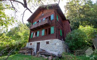Chalet 9 pièces - image - 1