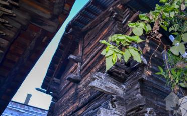 Chalet - image - 7