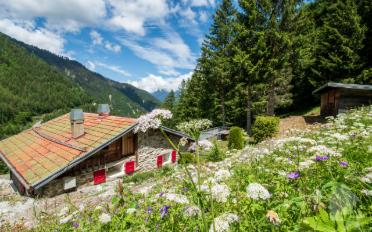 Chalet 3.5 Zimmer - image - 2