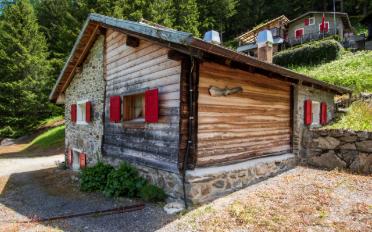 Chalet 3.5 Zimmer - image - 1