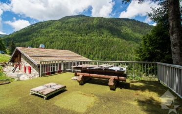 Chalet 3.5 Zimmer - image - 5