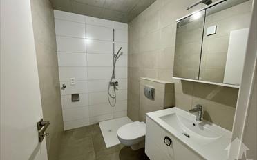 Apartment 2.5 rooms - image - 6