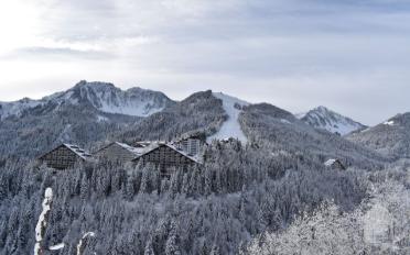 Duplex 2 Zimmer - image - 11