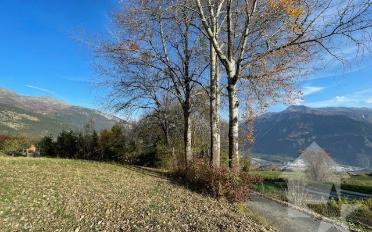 Bauland - image - 6