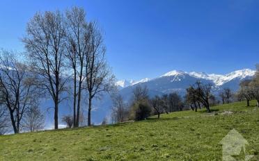 Bauland - image - 1