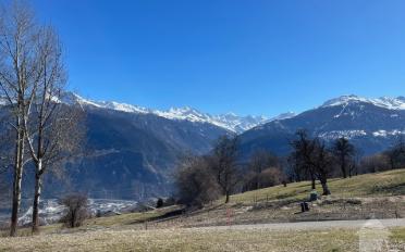 Bauland - image - 4