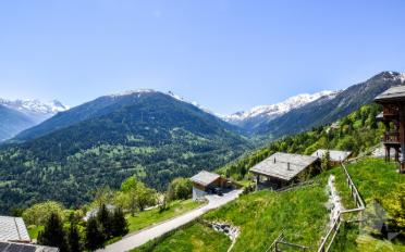 Chalet 5.5 pièces - image - 8