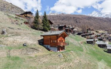 Chalet 4.5 Zimmer - image - 1