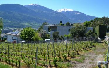 Building land - image - 6