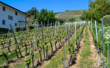 Building land - image - 8