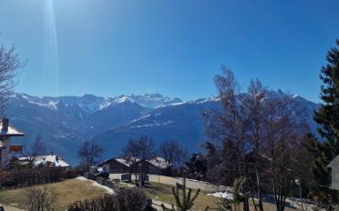 Chalet 5.5 pièces - image - 2