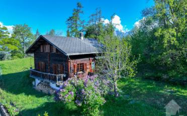 Chalet 6.5 pièces - image - 1