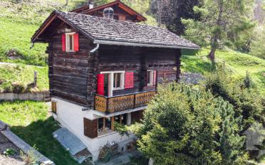 Chalet 4.5 rooms - image - 1