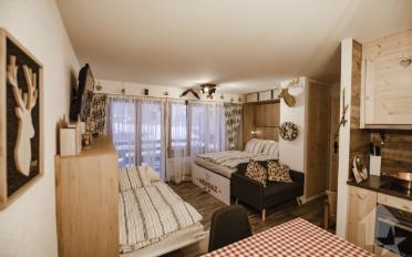Furnished flat 1.5 rooms - image - 9