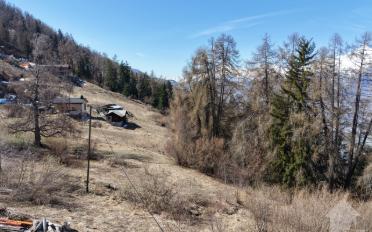 Chalet 6.5 pièces - image - 1