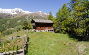 Chalet 4.5 pièces - image - 1