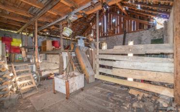 Single house 8 rooms - image - 8