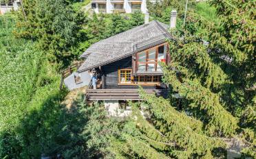 Chalet 6.5 rooms - image - 2