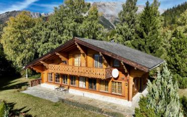 Chalet 5.5 rooms - image - 4