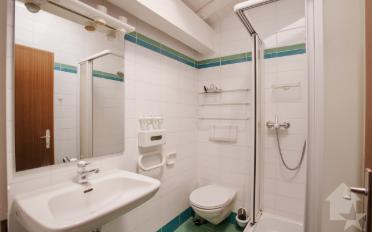 Attic flat 7.5 rooms - image - 12