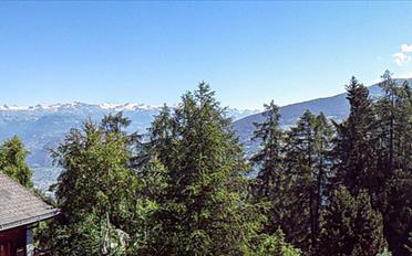 Chalet 3 Zimmer - image - 2
