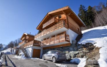 Chalet 6.5 pièces - image - 1