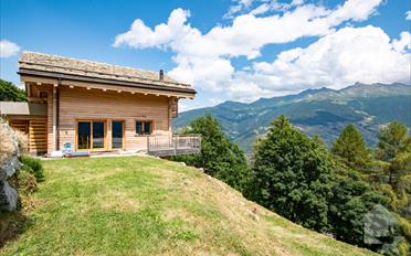Chalet 7.5 pièces - image - 2