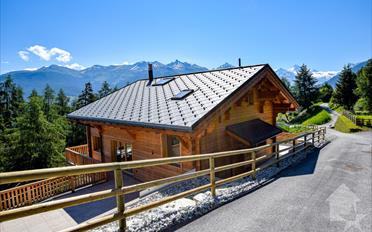 Chalet 7 Zimmer - image - 2